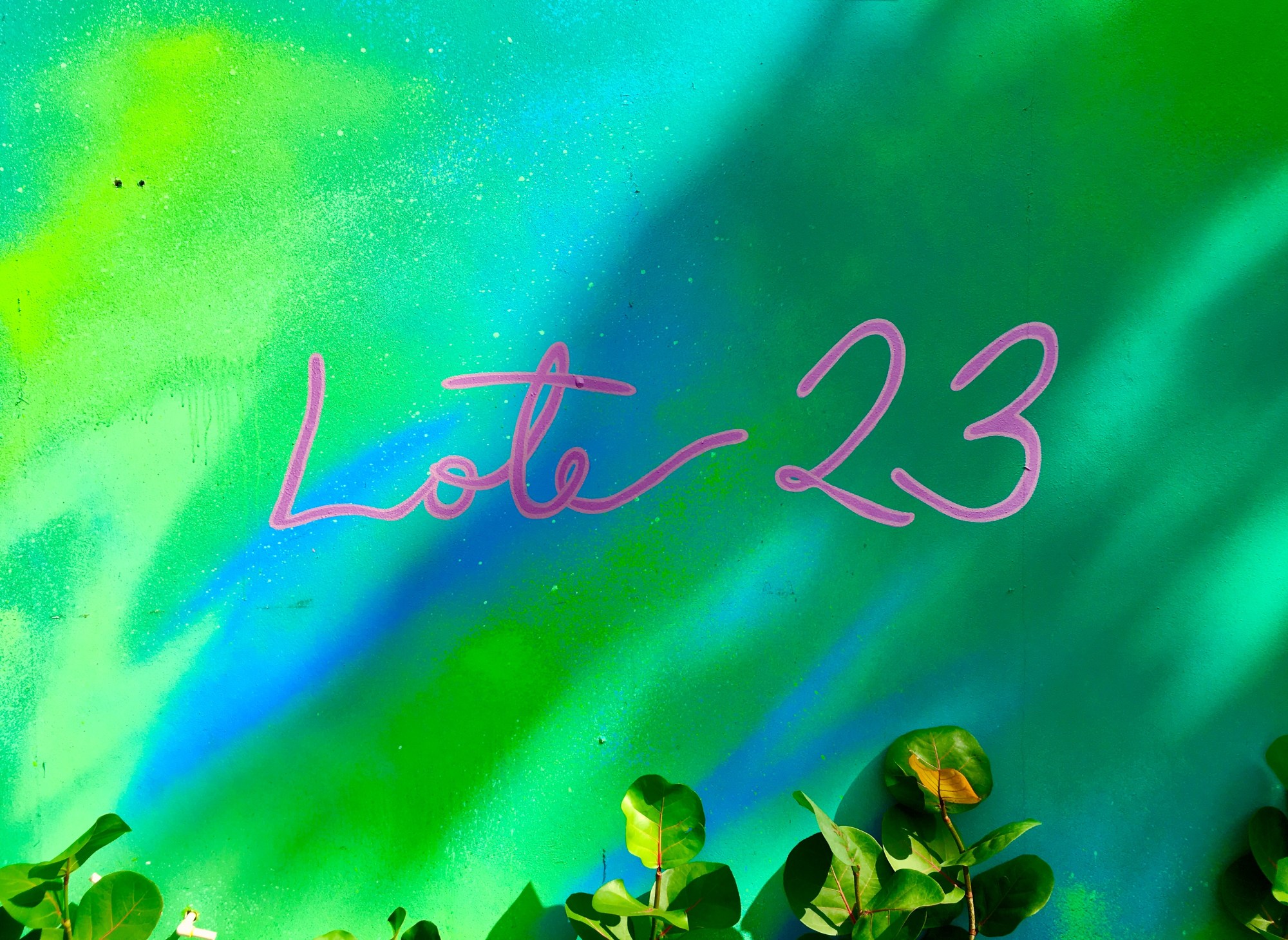 Lote 23 Puerto Rico Lote 23 Puerto Rico logo