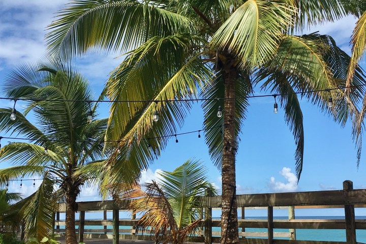 sppon drive around tour