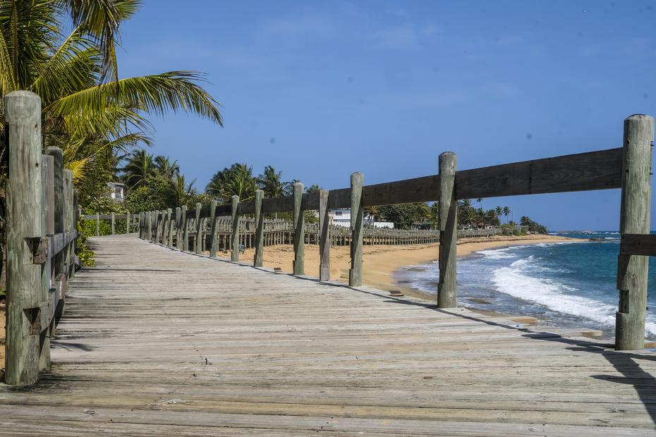 a beach with a palm tree