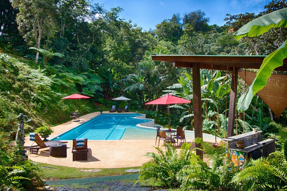 Outdoor pool with loungers, red umbrellas, and tropical plants surrounding the area.